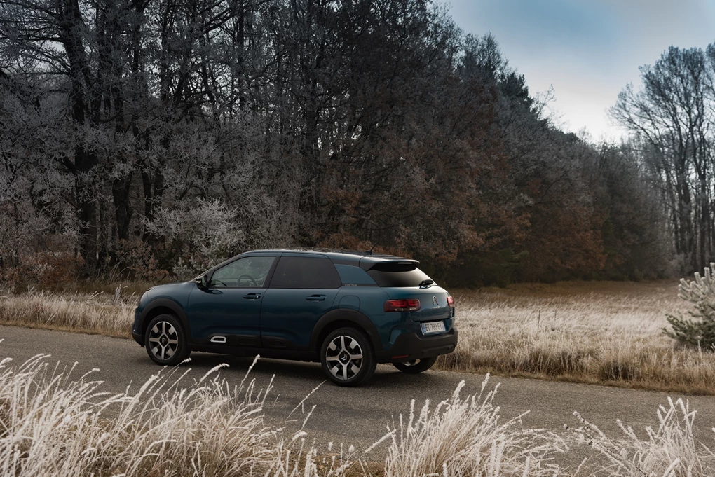 2018 Citroen C4 Cactus large hatchback
